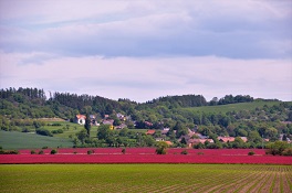 Podhořany